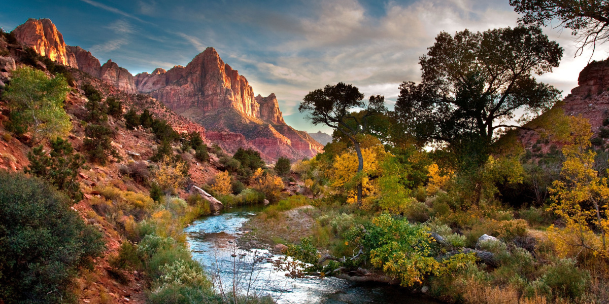 Zion National Park le guide complet