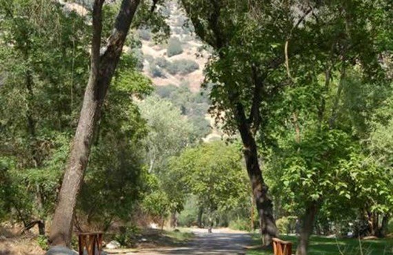 2-sequoia-rv-ranch