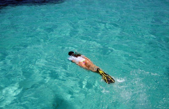 Snorkling à Key Largo (DollarPhotoClub, Abstrand)