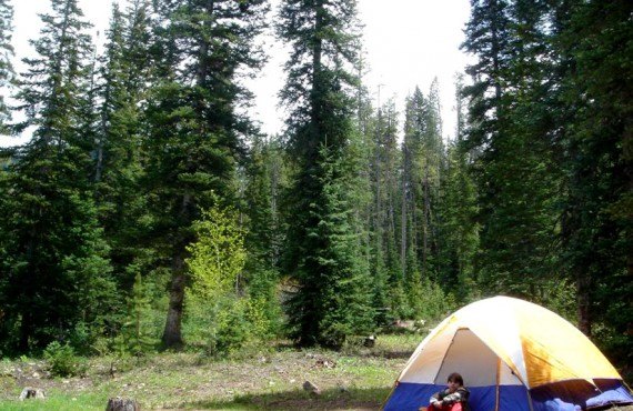 Gore Creek Campground