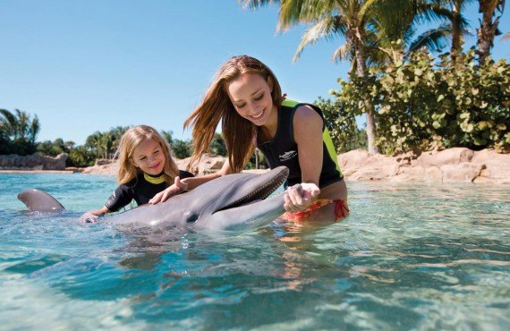 Nager avec les dauphins à Discovery Cove (Discovery Cove)