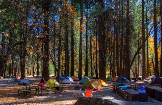 Camping Lower Pines - Yosemite Valley, Californie : Prix ...