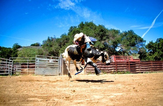 Démonstration monte d'un taureau au Rancho Oso