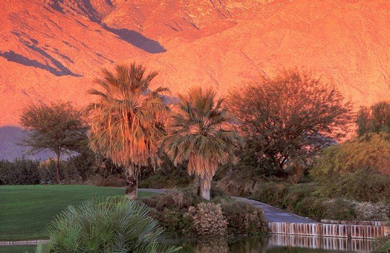 92-palm-mountain-resort-golf