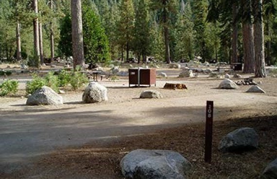 Camping Lodgepole